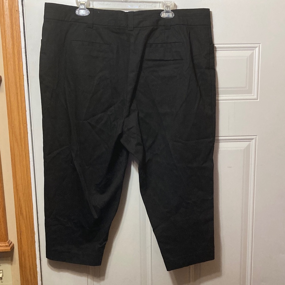 Studio Works Capris 18W